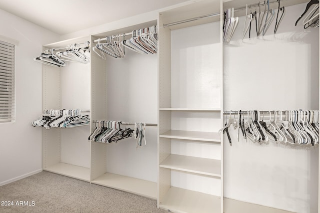 spacious closet with carpet