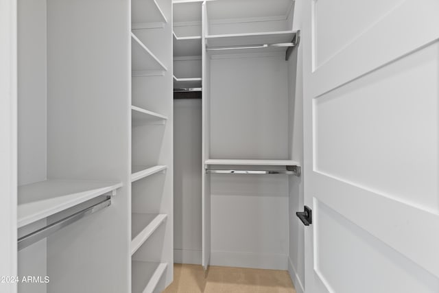 walk in closet with light colored carpet