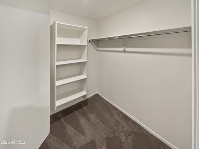 walk in closet featuring dark colored carpet