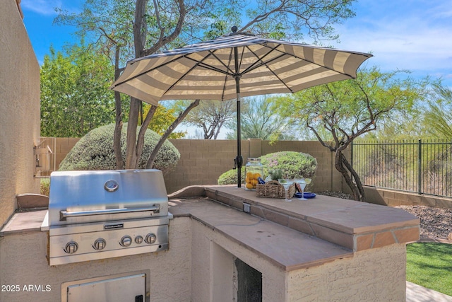 view of patio / terrace featuring area for grilling and an outdoor kitchen