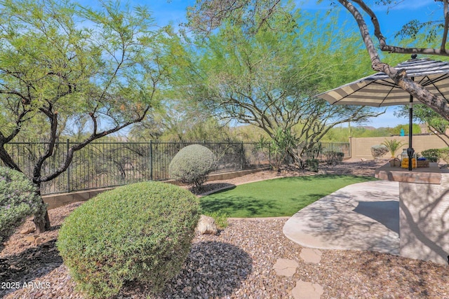 view of yard with a patio