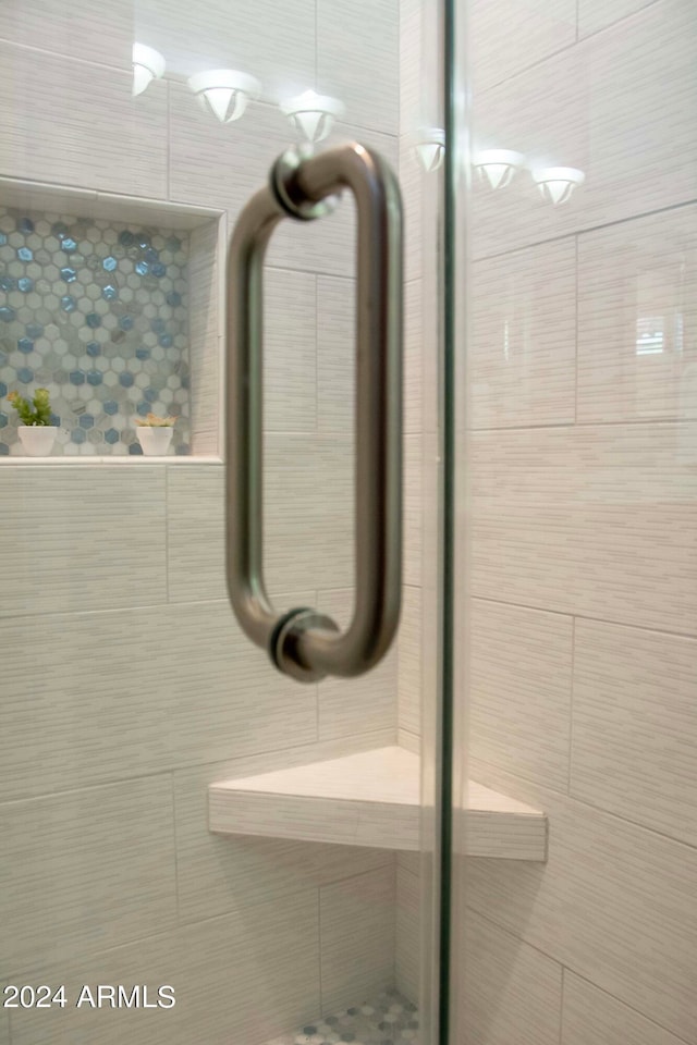 interior details featuring walk in shower