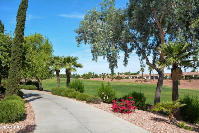 view of property's community with a lawn