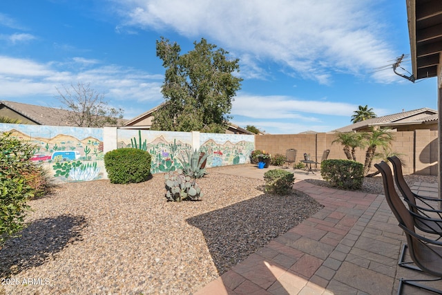 view of yard with a patio and a fenced backyard