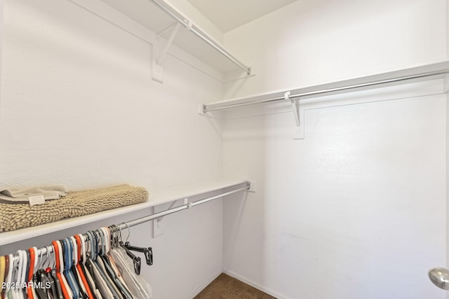 spacious closet with carpet flooring