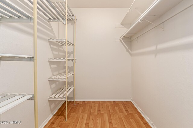 walk in closet featuring wood finished floors