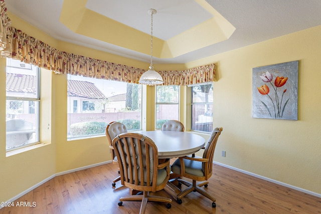 dining room with hardwood / wood-style flooring and a tray ceiling