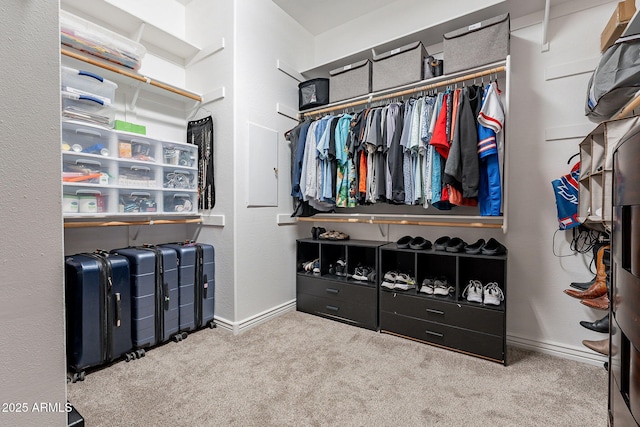 spacious closet with light carpet