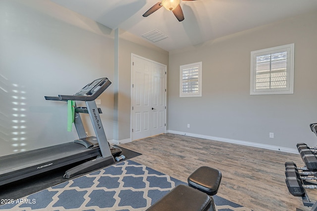 exercise area with hardwood / wood-style floors and ceiling fan