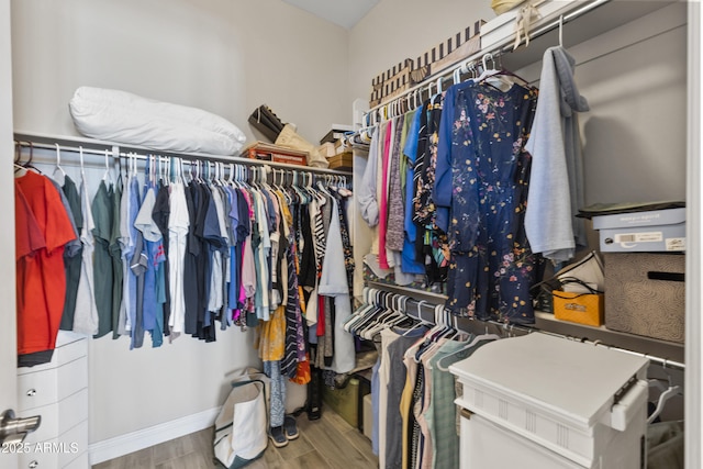 walk in closet with wood finished floors