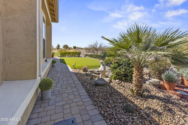 view of yard featuring a patio area