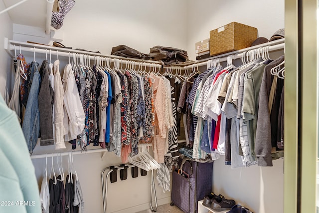 view of spacious closet