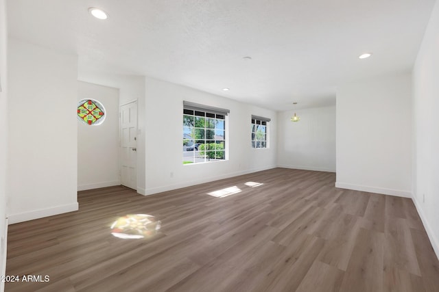 interior space with wood-type flooring