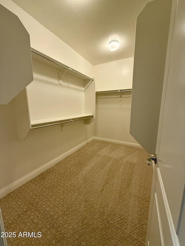 walk in closet featuring carpet