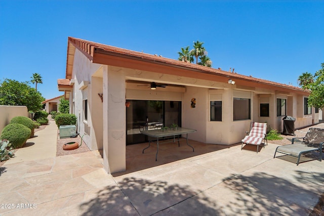 2055 N 56th St Unit 15, Mesa, AZ 85215 - back of property featuring a ceiling fan, stucco siding, and a patio