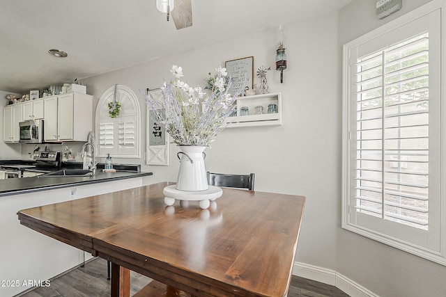 dining space with baseboards, plenty of natural light, and dark wood-type flooring