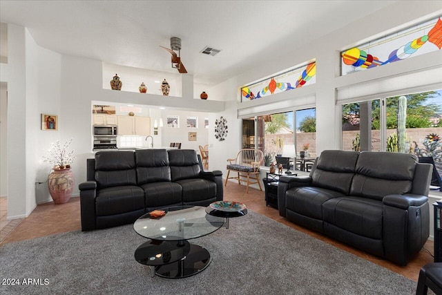 living room featuring sink