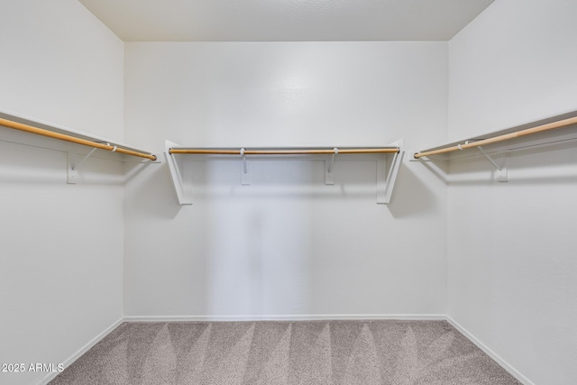 17728 W Paraiso Dr, Surprise, AZ 85387 - spacious closet with carpet flooring