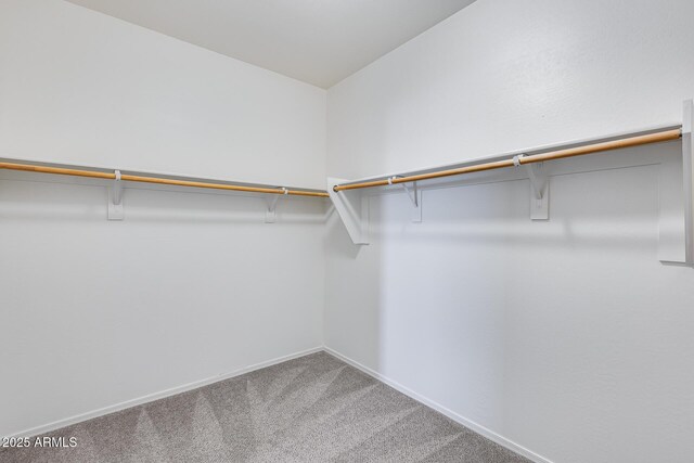17728 W Paraiso Dr, Surprise, AZ 85387 - walk in closet featuring carpet floors