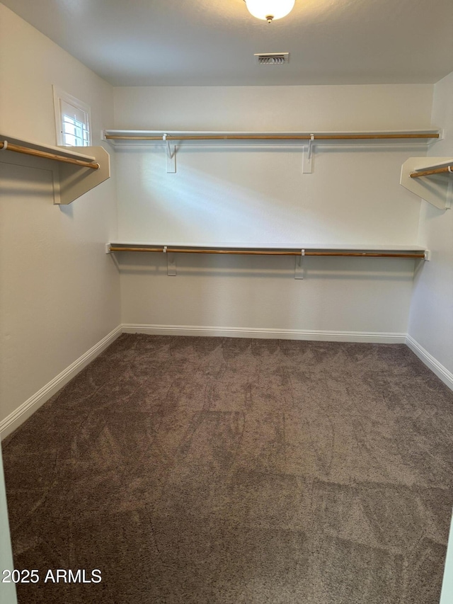 3480 E Sheffield Rd, Gilbert, AZ 85296 - spacious closet with dark colored carpet