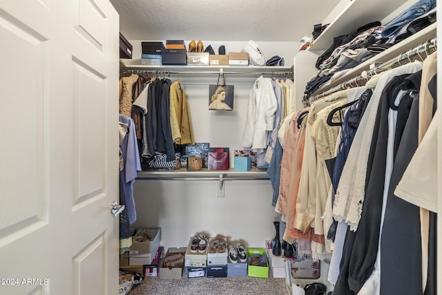 spacious closet featuring carpet floors