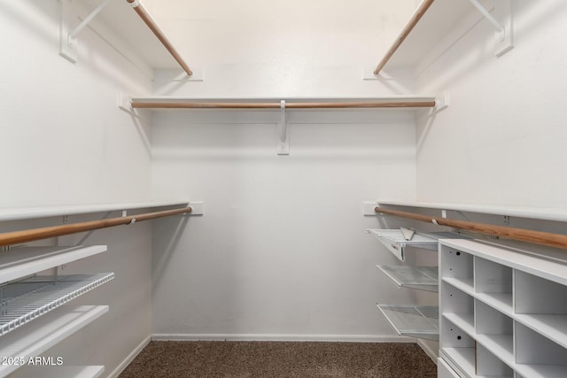 2134 E Broadway Rd Unit 1062, Tempe, AZ 85282 - walk in closet with carpet flooring
