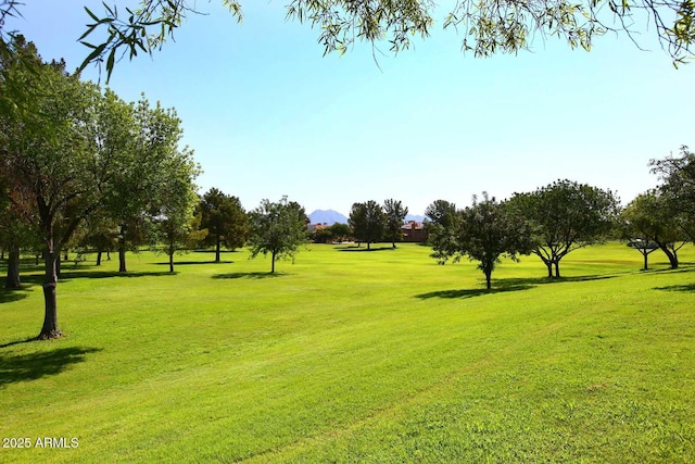 view of community with a lawn and a mountain view