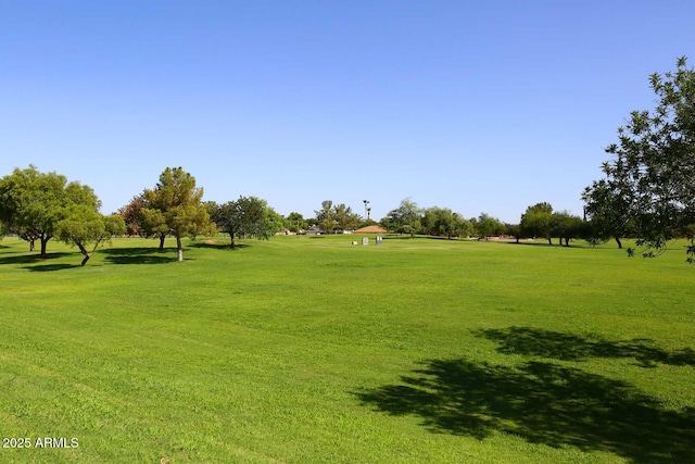 view of community featuring a yard