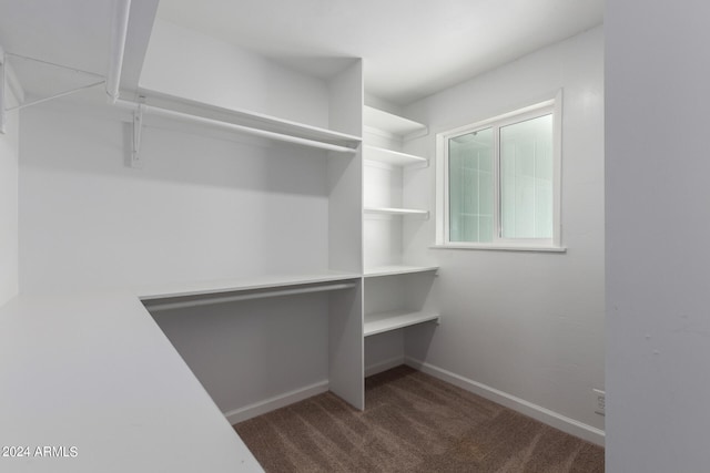 spacious closet with dark colored carpet