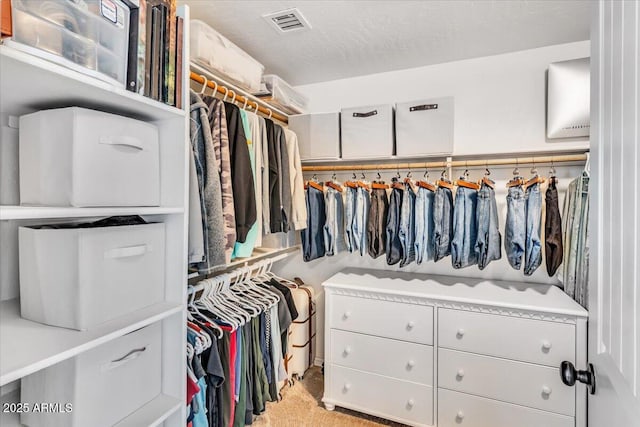 4402 E Barwick Dr, Cave Creek, AZ 85331 - spacious closet with light carpet
