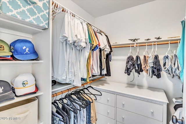 4402 E Barwick Dr, Cave Creek, AZ 85331 - view of walk in closet