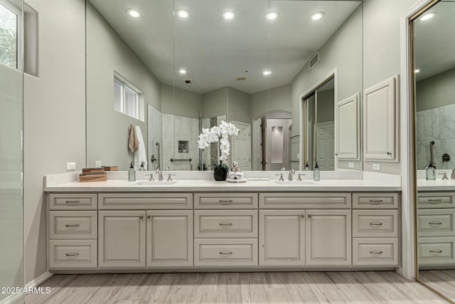 bathroom with a shower, plenty of natural light, and vanity