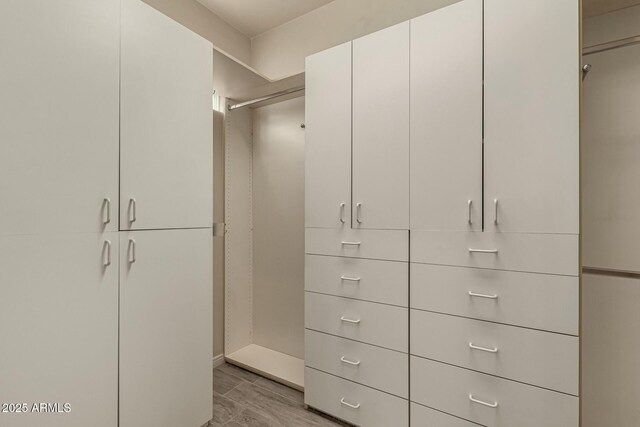 spacious closet with light wood-type flooring