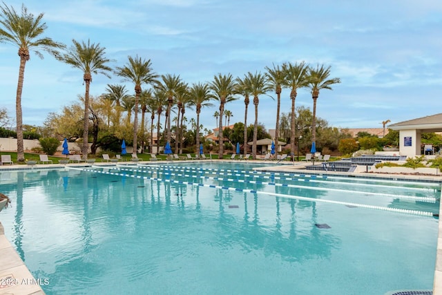 view of swimming pool