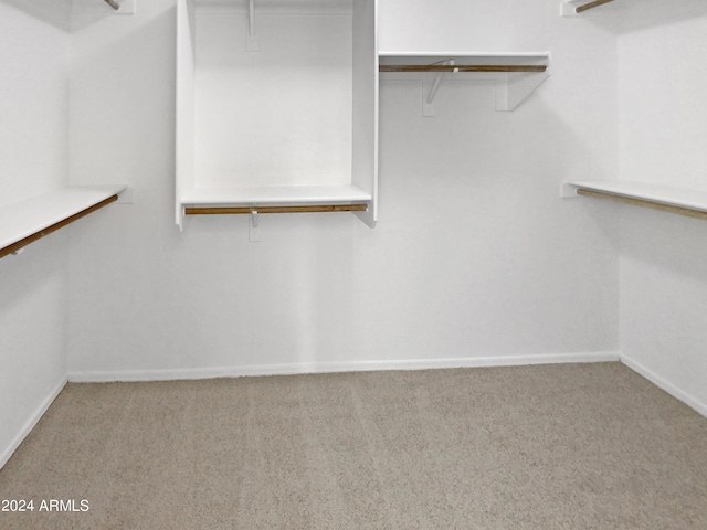 spacious closet featuring light colored carpet