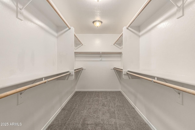 2000 N 36th St Unit 29, Phoenix, AZ 85008 - walk in closet featuring carpet floors