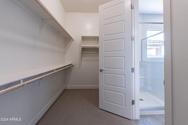 view of walk in closet