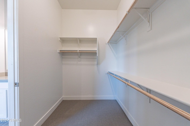 spacious closet with carpet flooring