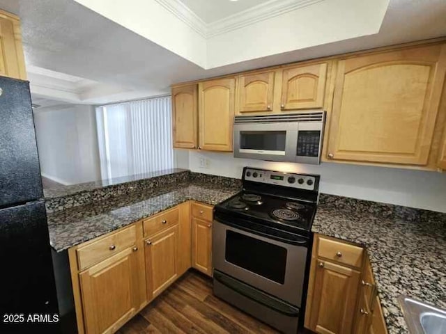 kitchen featuring a tray ceiling, ornamental molding, dark stone countertops, stainless steel appliances, and dark wood-style floors