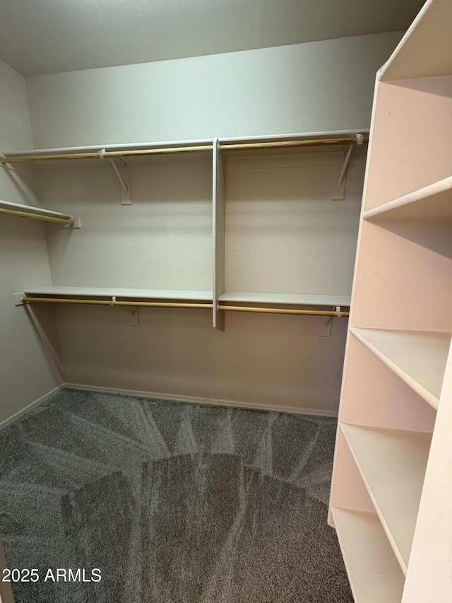 33512 N 24th Ln, Phoenix, AZ 85085 - spacious closet featuring carpet