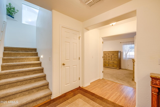 staircase featuring wood-type flooring