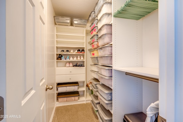 spacious closet with carpet