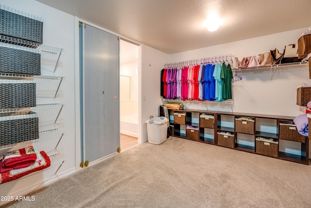 spacious closet with carpet