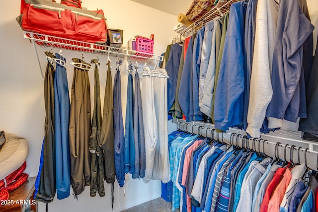 spacious closet featuring carpet flooring