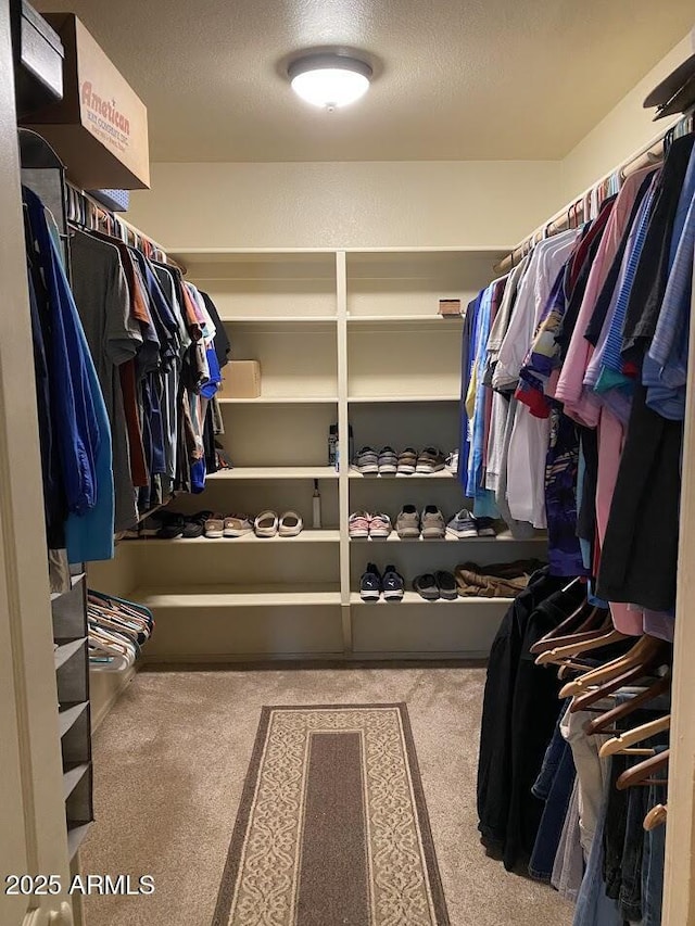 spacious closet featuring carpet