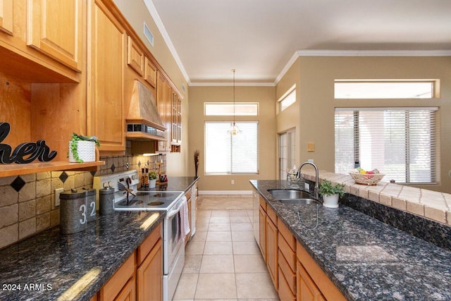 kitchen with tasteful backsplash, premium range hood, ornamental molding, white range with electric stovetop, and sink