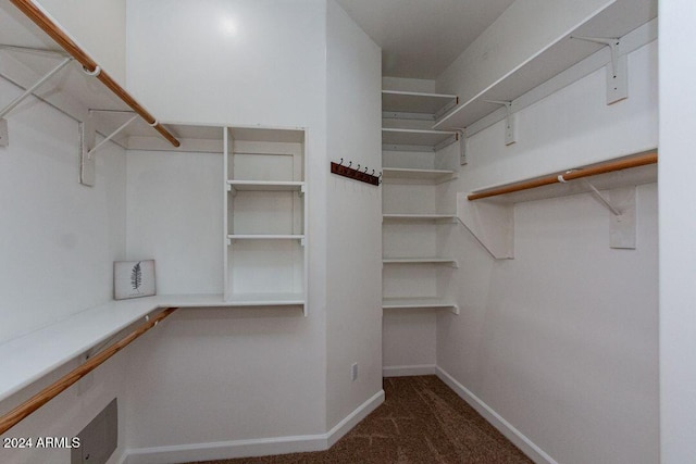 walk in closet featuring dark colored carpet