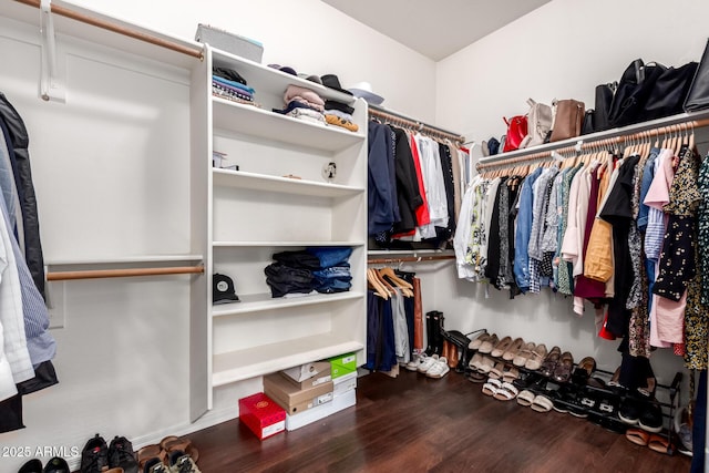 spacious closet featuring hardwood / wood-style flooring