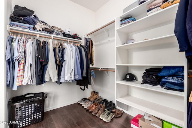 walk in closet with dark hardwood / wood-style floors