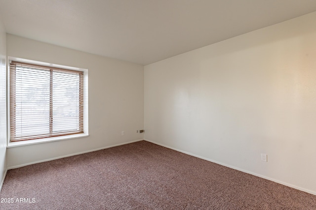 spare room featuring carpet floors